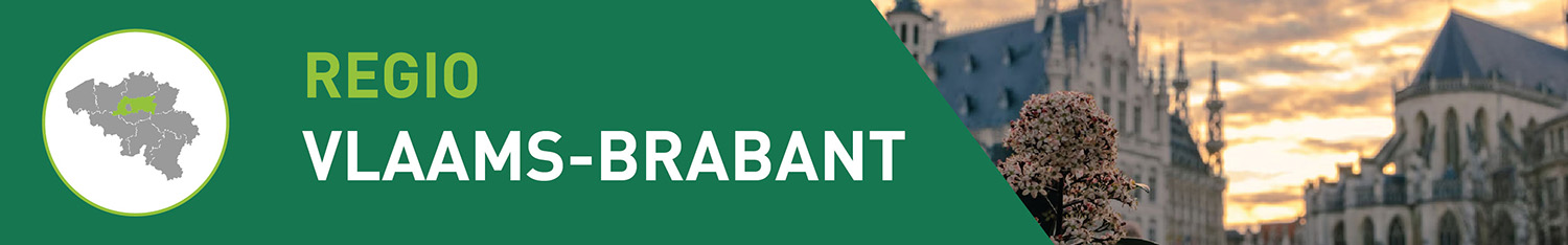 Banner regio Provincie Vlaams-Brabant Relatiegeschenken Rivanco