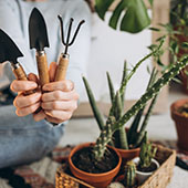 Tuin , bos en landbouw sector materiaal